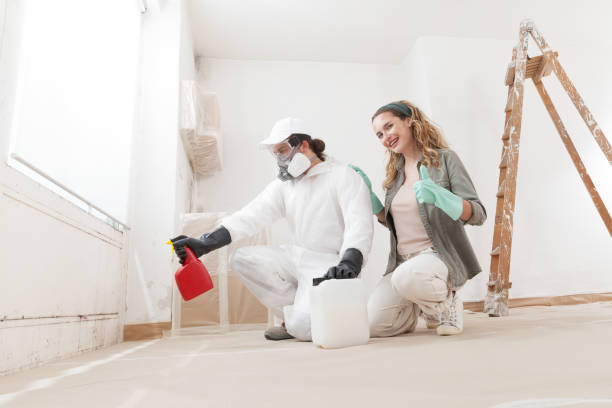 Best Commercial Mold Inspection  in Grayson, KY